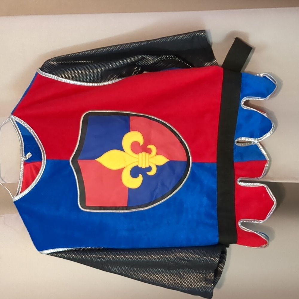 Mellisa and Doug knight costume